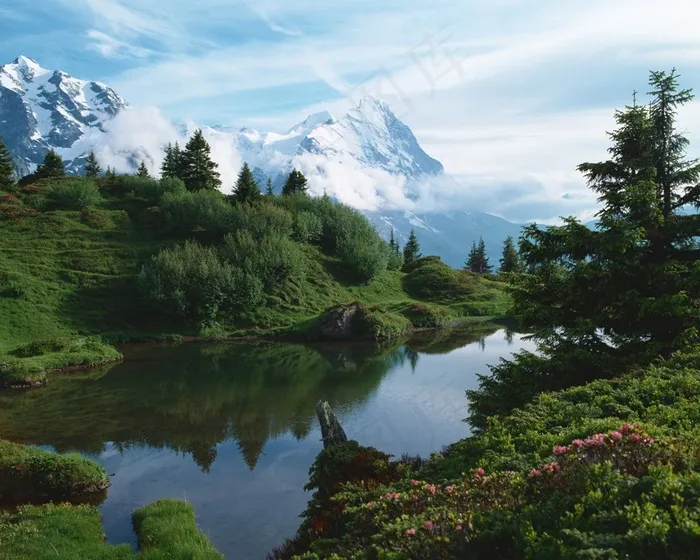 雪山脚下绿树如荫间的池塘