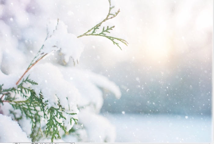 冬天白色背景风景