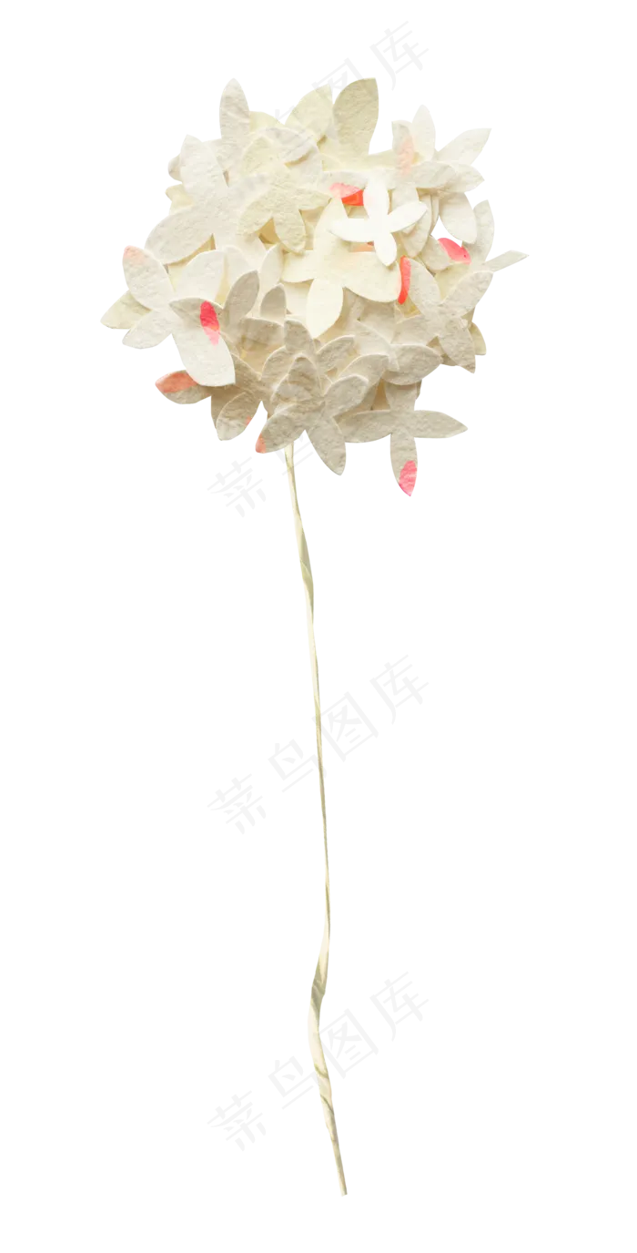 纸花免抠 