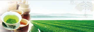 茶园 茶庄 茶叶 展板 海报