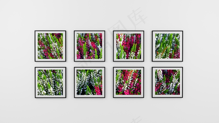 白色墙壁装饰画图片