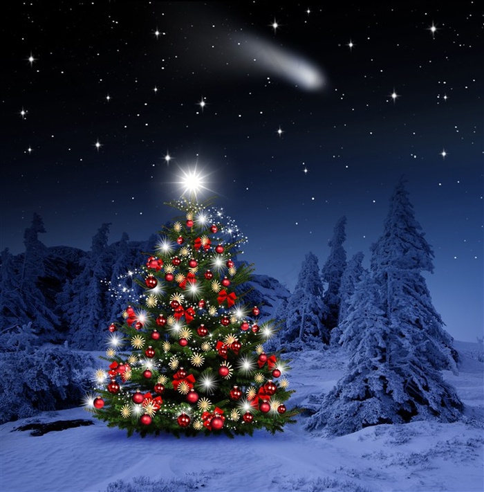 一颗很美丽的圣诞树