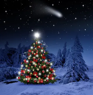 一颗很美丽的圣诞树