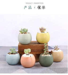 北欧简约绿植盆栽场景(39)