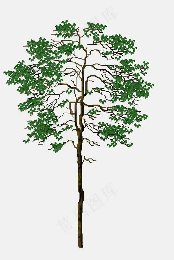 树木设计矢量图