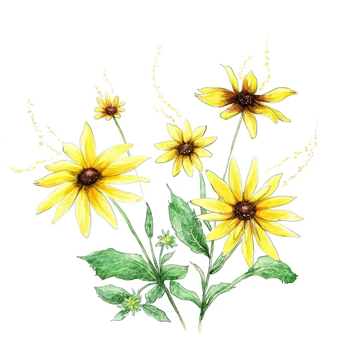 黄色简约风唯美菊花鲜花雏菊浪漫唯美背景图片素材