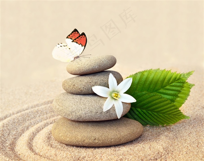 唯美蝴蝶图片摄影