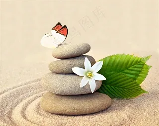 唯美蝴蝶图片摄影