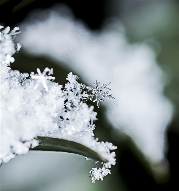 冬季晶莹的雪花素材图片