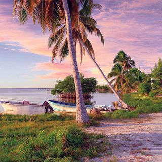 湖畔公园美景油画