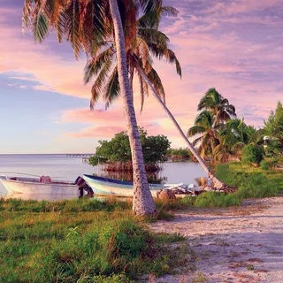 湖畔公园美景油画