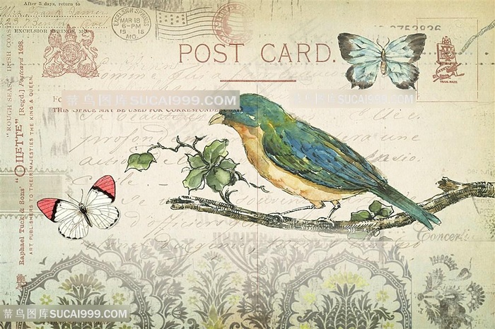 欧式花鸟装饰画