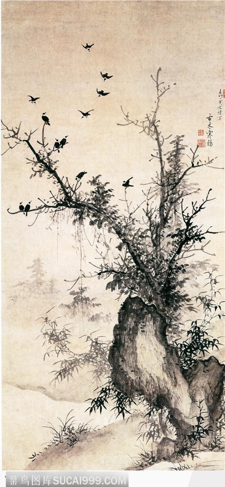 花鸟篇-树枝上的鸟