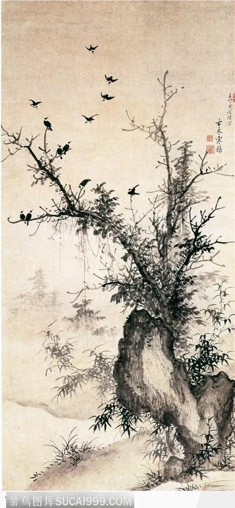花鸟篇-树枝上的鸟