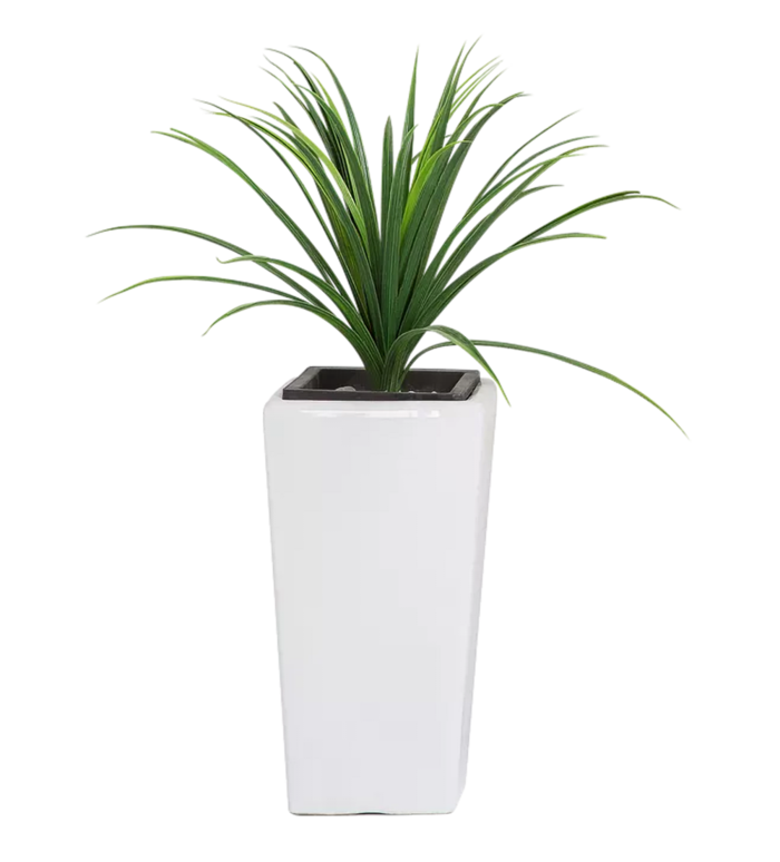 植物盆栽免抠png