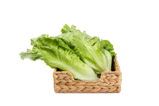 生菜 (8)超市商品白底图免抠实物摄影png格式图片透明底