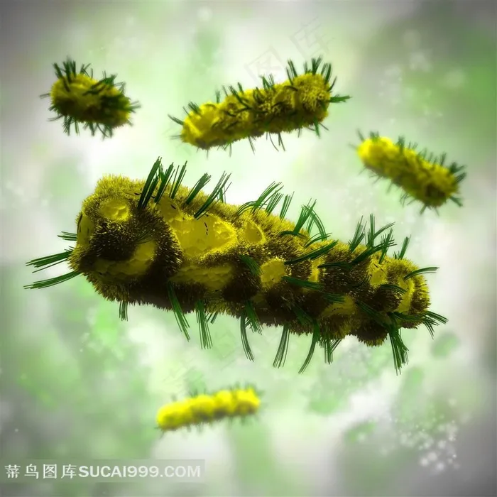 细胞质医学背景