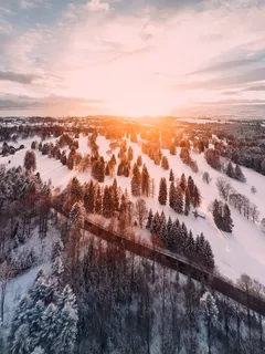 冬天白雪林木背景风景 冬天白雪林木背景风景