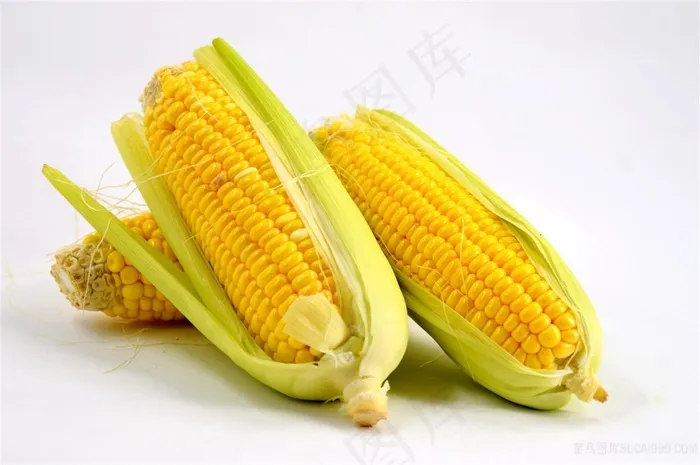 甜玉米 新鲜玉米