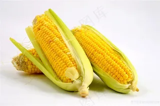 甜玉米 新鲜玉米