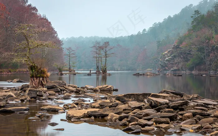 风景 景观 夕阳 黄昏 航拍风景 森林 大树 