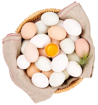 一筐鸡蛋素材免扣