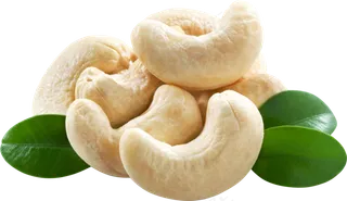 腰果免抠素材 (4)