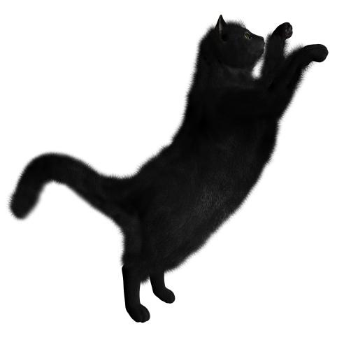 黑猫 PNG免抠(1600x1520)
