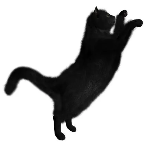 黑猫 PNG免抠(1600x1520)