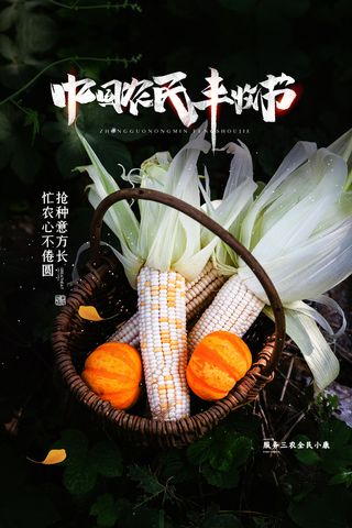 大气丰收营销活动海报