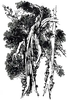 树工笔国画素材 树工笔国画素材