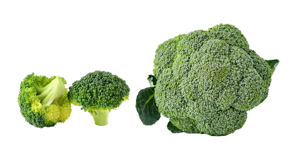 西兰花超市商品白底图免抠实物摄影png格式图片透明底