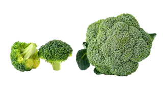 西兰花超市商品白底图免抠实物摄影png格式图片透明底