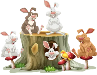 兔子窝兔年兔子