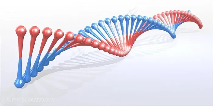 研究生物图片