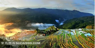 五彩斑斓丘陵梯田美景