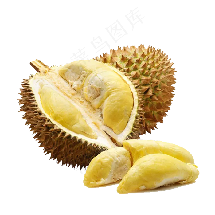 新鲜榴莲免扣素材