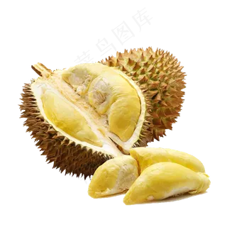 新鲜榴莲免扣素材