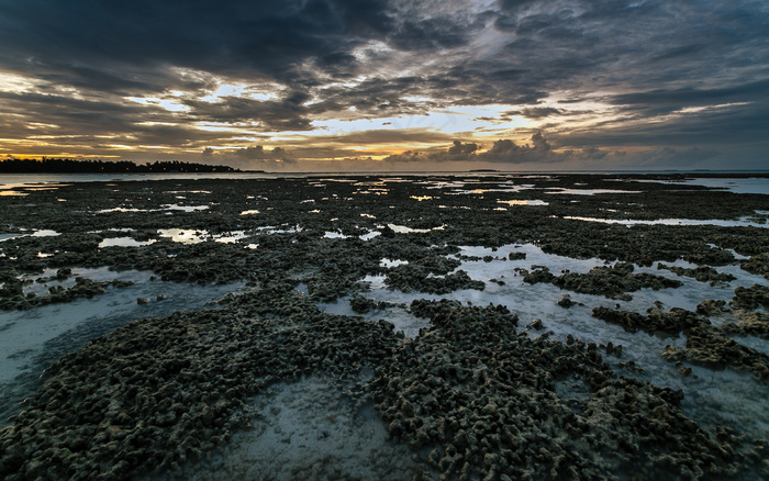 风景 景观 夕阳 黄昏 航拍风景 森林 