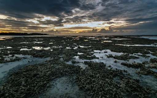风景 景观 夕阳 黄昏 航拍风景 森林  风景 景观 夕阳 黄昏 航拍风景 森林