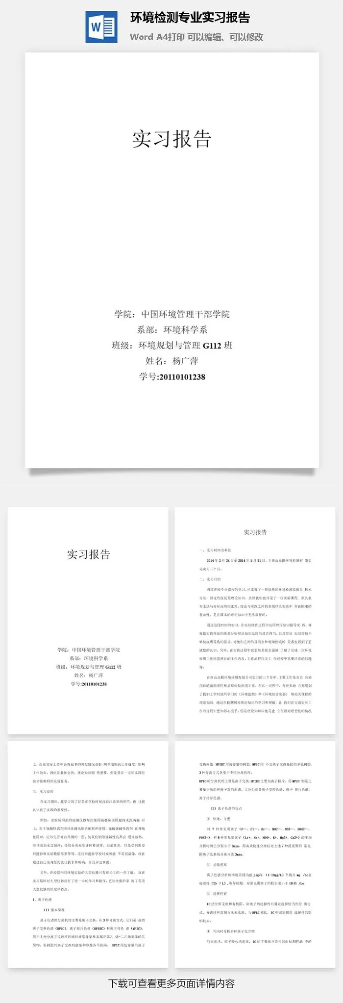 环境检测专业实习报告word模板