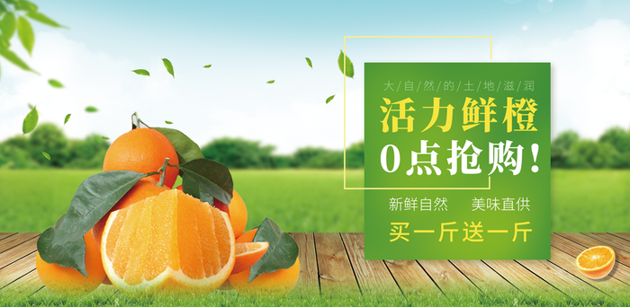 活力鲜橙摄影图宣传展板