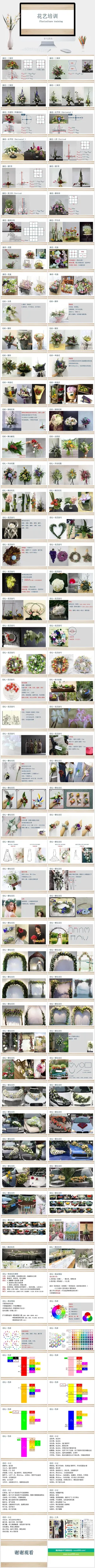 植物花卉多肉景观植物知识培训PPT模板预览图