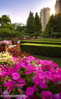 公园风景图片 公园风景图片