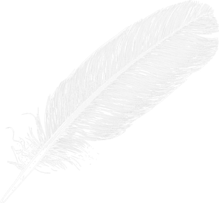 白色羽毛卡通
