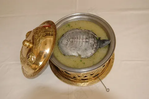 笼汁水鱼王  笼汁水鱼王