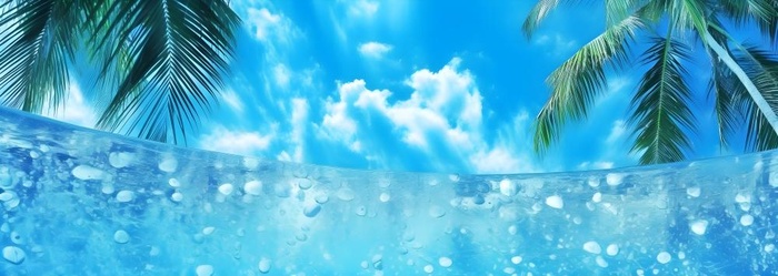 夏日椰树水珠冰爽背景(7360x2624)