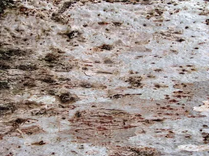 石纹背景高清图片 石纹背景高清图片