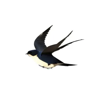 大雁燕子鸟免抠