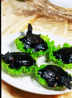 1009LC-0546手撕甲鱼仔 1009LC-0546手撕甲鱼仔